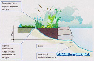 Схема пруда с биоплато без насоса
